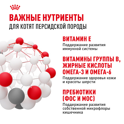 Royal Canin Persian Kitten Корм сухой сбалансированный для персидских котят (до 12 месяцев), 10 кг